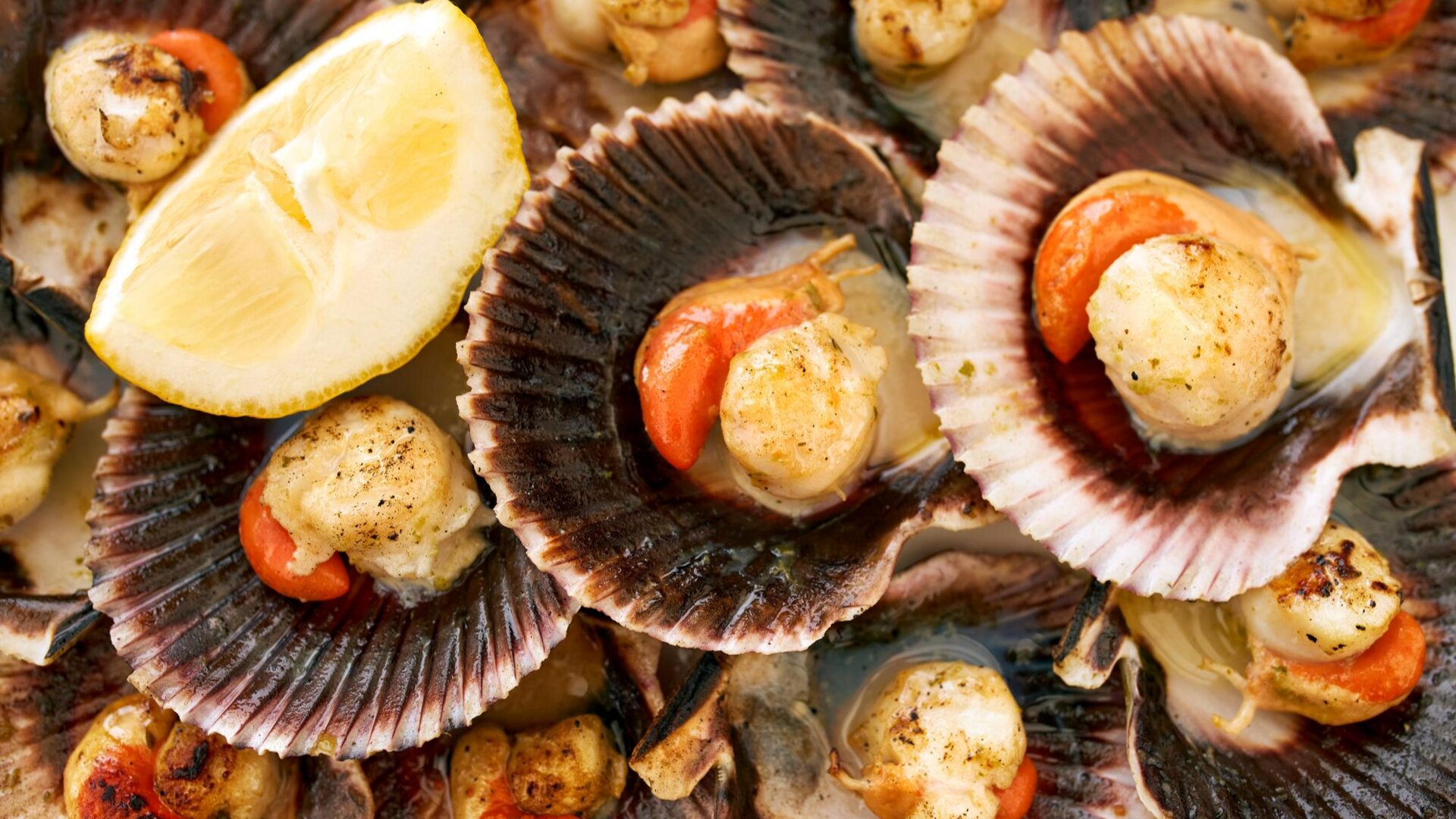 Wild cockles