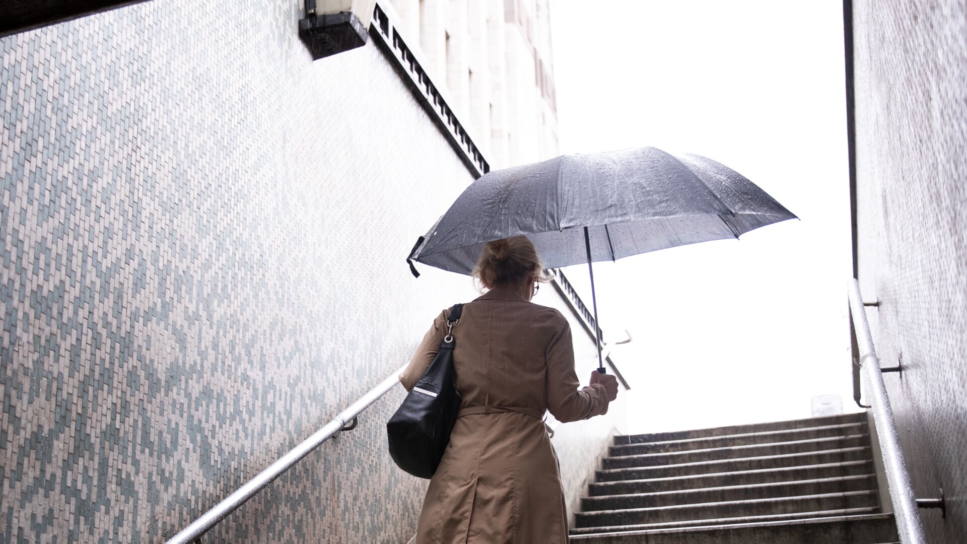 Umbrella